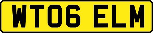 WT06ELM
