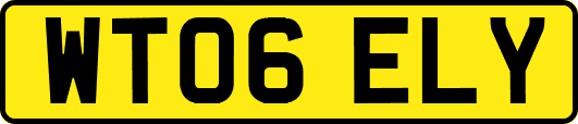 WT06ELY
