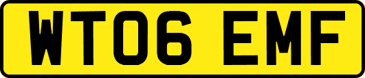 WT06EMF