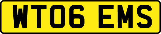 WT06EMS