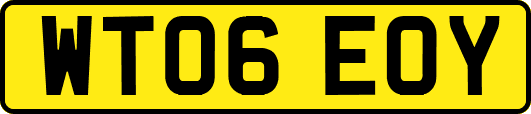 WT06EOY