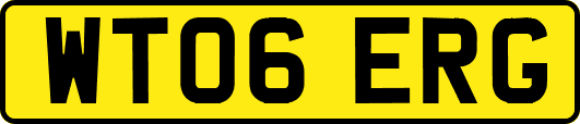 WT06ERG