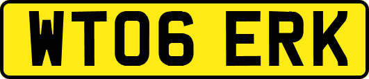 WT06ERK