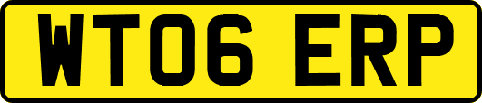 WT06ERP