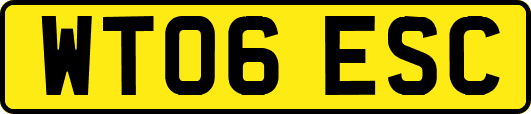 WT06ESC
