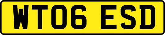 WT06ESD