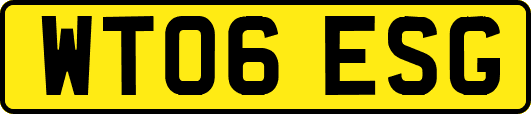 WT06ESG