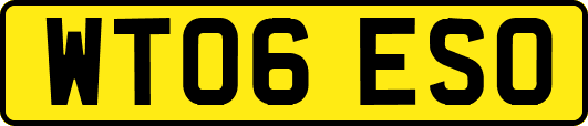 WT06ESO