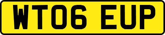 WT06EUP