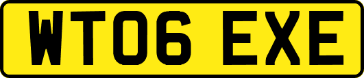 WT06EXE