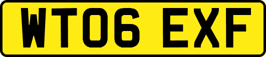 WT06EXF