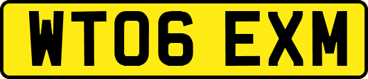 WT06EXM