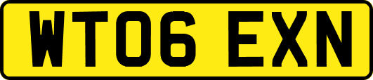 WT06EXN