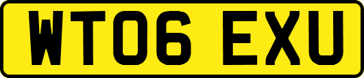 WT06EXU
