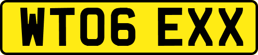 WT06EXX