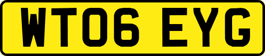 WT06EYG