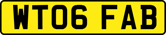 WT06FAB