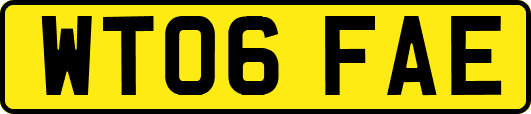 WT06FAE