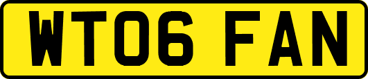 WT06FAN
