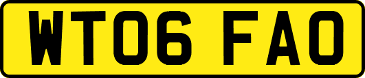 WT06FAO