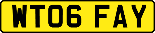 WT06FAY