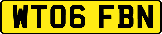 WT06FBN