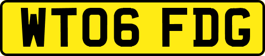 WT06FDG