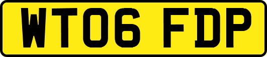 WT06FDP
