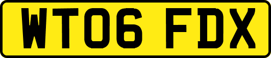 WT06FDX