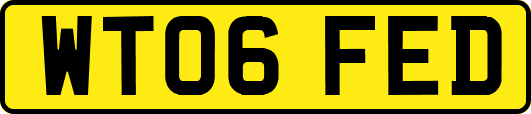 WT06FED