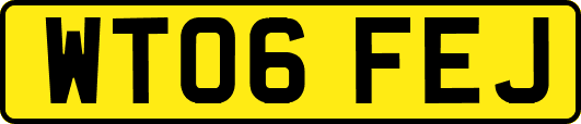 WT06FEJ