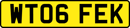 WT06FEK