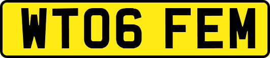 WT06FEM
