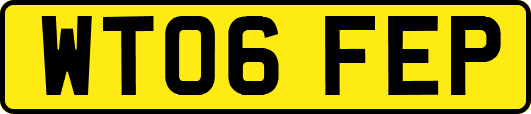 WT06FEP