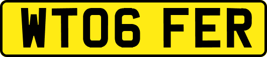 WT06FER