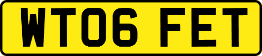 WT06FET