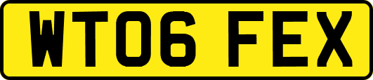 WT06FEX