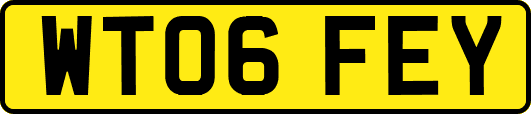 WT06FEY