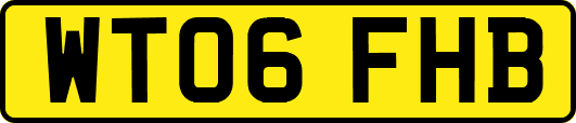 WT06FHB