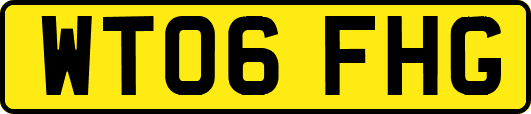 WT06FHG