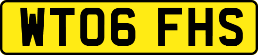 WT06FHS