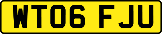 WT06FJU