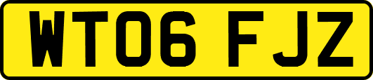 WT06FJZ