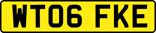 WT06FKE
