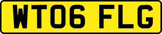 WT06FLG
