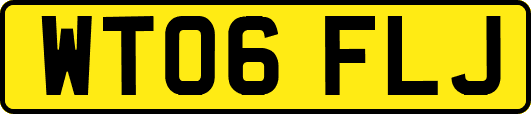 WT06FLJ