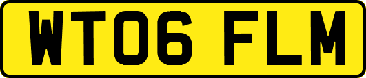 WT06FLM