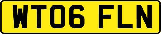WT06FLN