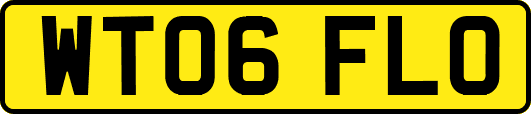WT06FLO