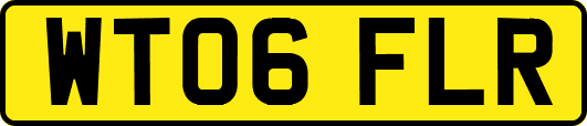 WT06FLR